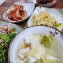 해남성쭈꾸미 이미지