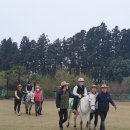 서귀포 온성학교 이미지