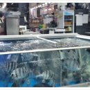 북항선착장 이미지