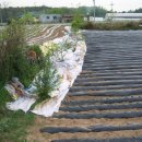 서강농장 이미지