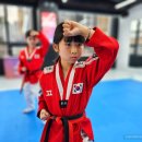 품 태권도 이미지