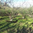 성실농원 이미지