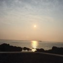 천금목장 이미지