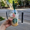 스타벅스 자몽망고 코코 프라푸치노 시럽없이 후기 (커스텀,칼로리,가격)