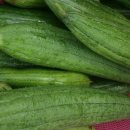 미하가든 이미지