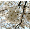 왜관초등학교 이미지