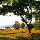 다산생태공원 이미지