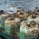 조산영농조합법인 이미지