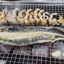 대머리장어 이미지