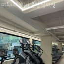 피트니스 웰시 분당정자점 네이버블로그