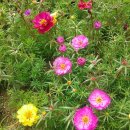 대구역광장 이미지