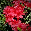 알파행정사사무소 이미지