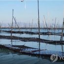 유실목장 이미지