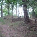 우지연대 이미지