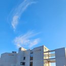 천성대항길 이미지