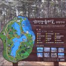 화진포둘레길(원당리) 이미지