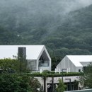 고성호 매일경제