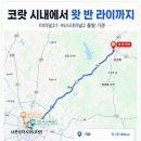 코끼리카써비스 | 방콕에서 코랏 가는법 나콘라차시마 자유여행 왓 반 라이 코끼리 사원