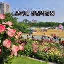 CU남문중앙점 | 서울 가볼만한곳 보라매공원 정원박람회 메타몽 현대장미원 가는길