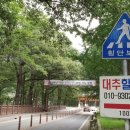 대추할매집