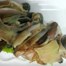 동신횟집 이미지