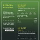 감탄헤드스파 두피클리닉