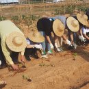 흥덕농장 이미지