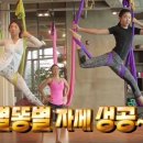 라인홀릭플라잉요가