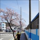 해파랑길 23코스 이미지