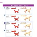이광수동물병원 이미지