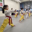 세종태왕(세종태권도왕) | 25년 세종태왕 11월 승급 심사 (반곡동 태권도)