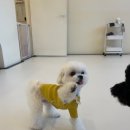 엘라 유치원 이미지