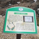 강릉대공산성 Daum카페