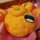 상보농장 이미지