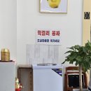 강릉수정막국수 이미지