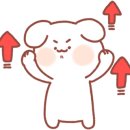 라비쉬독 이미지