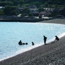 무궁화로 이미지