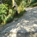 대신축사 이미지