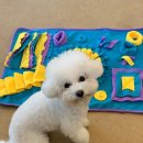 슈라즈하우스 이미지