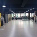 The King Boxing 이미지