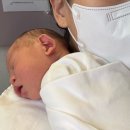 11260-1-60-9 | 더네이처산후조리원 디럭스 9박10일 후기