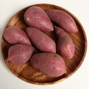 느루농장 이미지