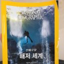 화정글샘도서관 이미지