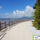강진베이스볼파크펜션 | 강진도암면부동산(바닷가펜션별장부지)