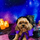 하률로12번길 이미지