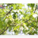 도고농장 이미지