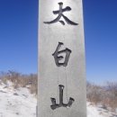 산의뿌리