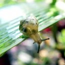 사진으로 본 새로운 세상 이미지