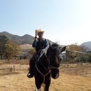 카우보이 이미지