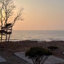 스테이도유 이미지